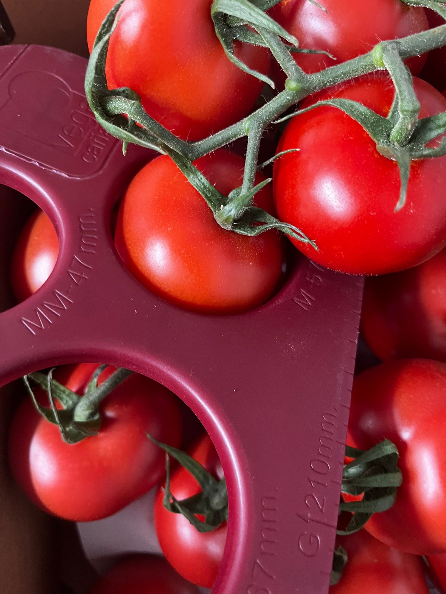 Seguridad y sanidad alimentaria