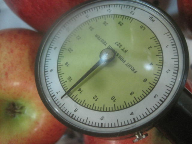 Servicios de inspección